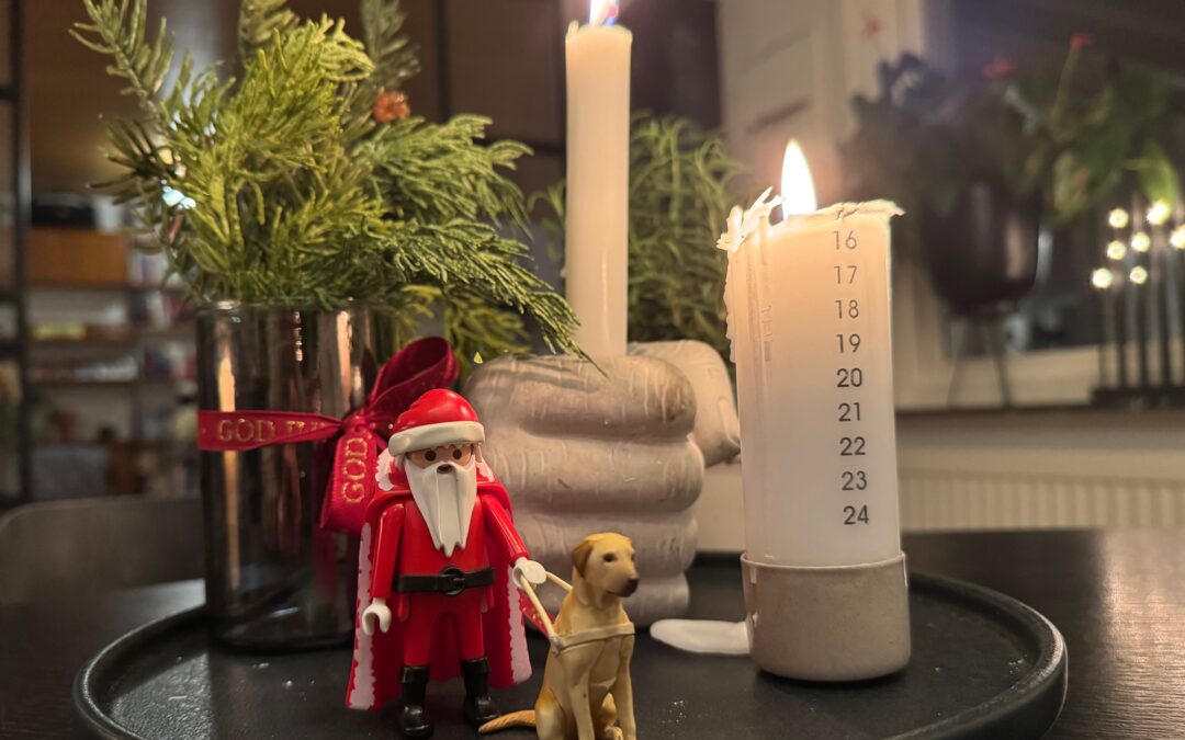 God jul & gott nytt år!